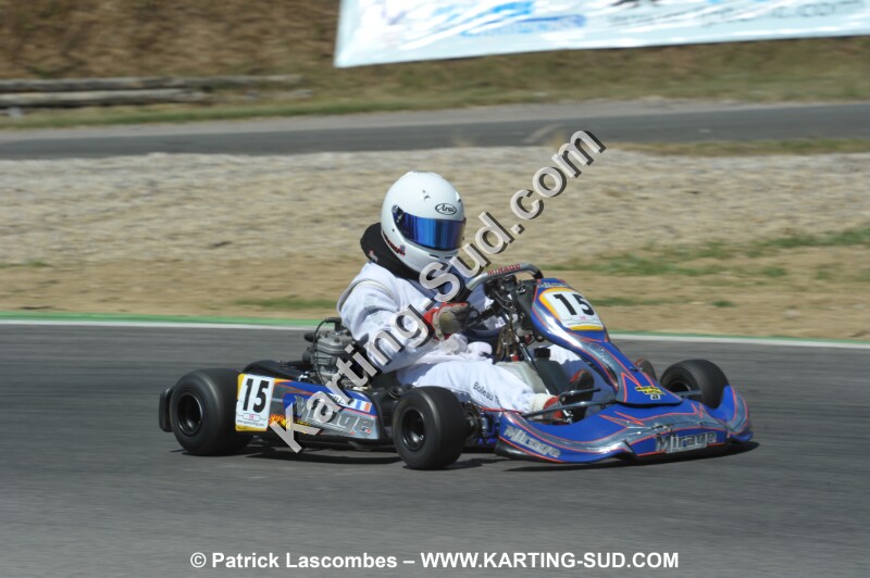 DSC_ (1868).JPG